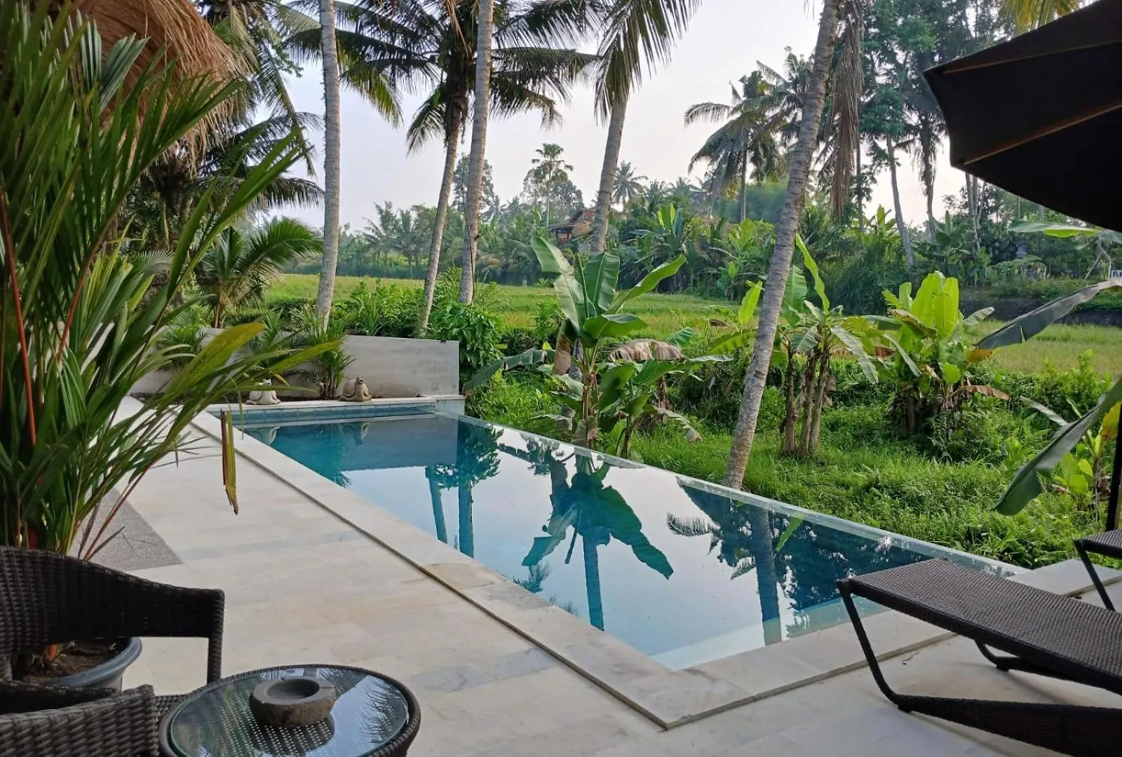 Bali View Ubud Hotel