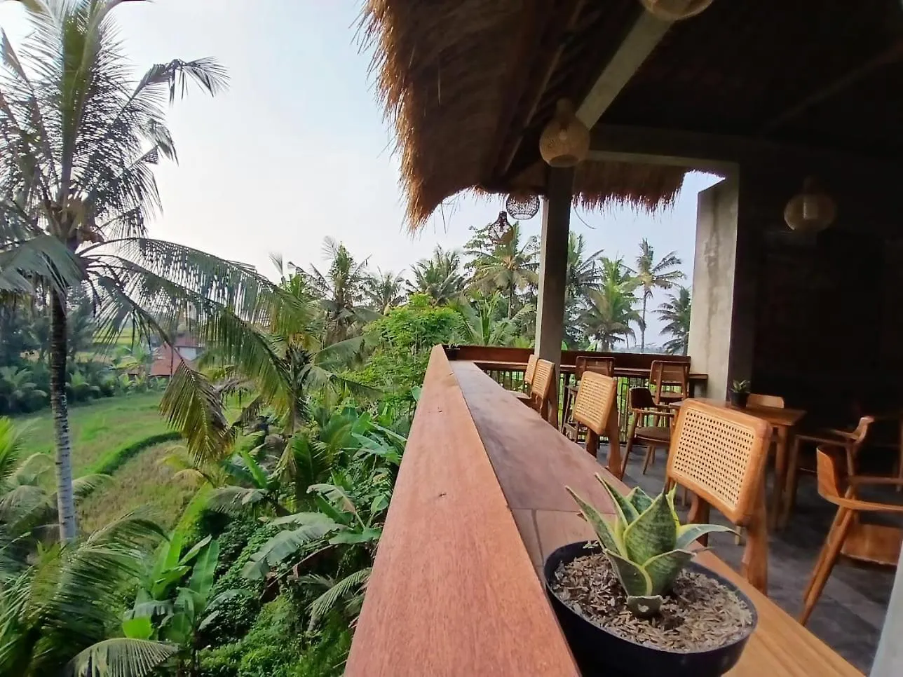 Bali View Ubud Hotel